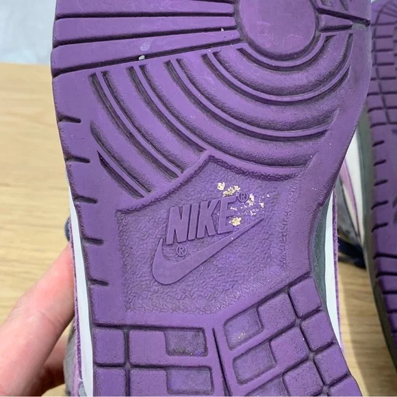Nike Dunk Pro SB Low Purple Pigeon 304292-051 Sneaker Shoes Men’s Size 11